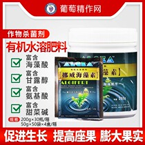 Norwegian seaweed Fertilizer Organic organic seaweed Acid leaf surface Fat Norwegian Ale crops 50-200 grams