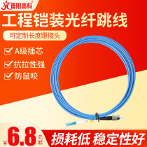 Jinyang high-tech telecom-level single-mode single-core armored fiber optic indoor optical fiber jumper anti-aging rat bite pigtail Carrier armored jumper tensile