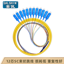 SC-UPC12 single-mode core beam fiber jumper pigtail SCC upc1 5 M 12-core beam pigtail fiber jumper single-mode SC bundle pigtail fiber jumper single-mode SC bundle pigtail SC pigtail