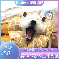 Pet cat Dog Elizabeth ring soft headgear Anti-licking and biting Waterproof shame ring Sterilization protective cover