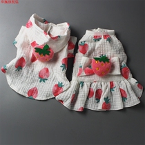 Dog clothes pet supplies clothing cat cotton fabric cute strawberry vest hoodie sunscreen dress