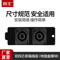 soundking I21 speaker audio socket module