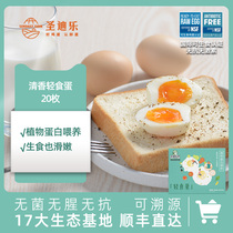 San Diego Village Light Egg Fresh Eggs Sterile Eggs Raw Vegetarian Egg 20 Raw Eggs