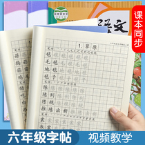 Elementary school childrens word post (lettusexism) 6th grade Upper register of language copybook People teaching edition synchrotron lettutor special lettutor special lettutor group words Idiom Sketching Red Block Letters Practice Writing Calligraphy and Words Writing Words of Words