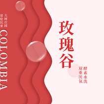 Columbia Rose Valley Big Tree Manor Double Anaerobic Enzyme Wash Single Handed Coffee Bean 100g