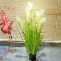 Simulation reed grass dog tail flower Pool set Decorative flowers Fake flowers and grass bushes Rice and wheat bonsai Floor-to-ceiling window