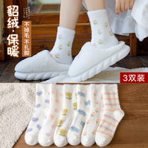 Coral fleece socks womens autumn and winter cute mink fleece socks in winter thickened warm home sleeping socks towel socks