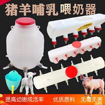 Piglet goat lamb feeding miller suckling piggy and suckling milk bottle feed trough imitation mother pig scream drinking miller pig farm