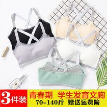 15 girl bra development period 13 years old junior high school students second stage underwear cotton no steel ring girl vest