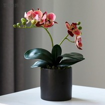 Roman Mama Light Extravagant Emulation Butterfly Lan Small Potted Potted Flowers Livingroom Desktop Genguan Floral Green Plant Swing Piece Decoration