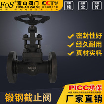 Forged steel globe valve flange connection Shanghai Toyama J41H black body valve