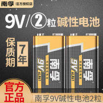 Nanfu 9V nine volt alkaline battery 6LR 610000 can be table laminated Diamond 6F22 microphone toy microphone block stack nine volts 6F22 square toy remote alarm microphone