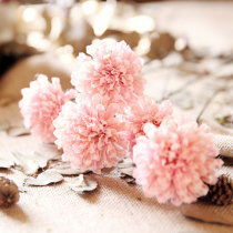 MAKEUP ART SMALL CLEAR NEW SESAME FLOWERS HANDMADE DRY FLORAL FLORAL FLOWER ARRANGEMENT LIVING ROOM HOME TABLETOP DECORATIVE FLOWERS