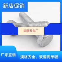 National Label hot galvanized Outer hexagonal screw 8 8 hot-dip zinc bolt photovoltaic screw high strength M16M18M20M24