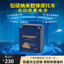  Lion motorcycle battery YB12A-BS BMW F650gs Logo 200 Yamaha SR250 maintenance-free battery