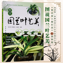 The picture shows that the national orchid leaf Yimei Yang Dahua Orchid Books appreciation of diseases and insect pests control leaf Yilan famous products appreciate the book planting and breeding technology of orchid Chinese orchid book planting and breeding technology