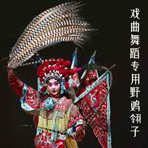 Sun Wukong pretty flower Dan Peking Opera opera Peking Opera performance natural pheasant hair feather pheasant feather feather long feather feather