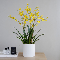 ladylike dancing orchid flower living room decoration orchid fake flower ornaments ornaments home accessories