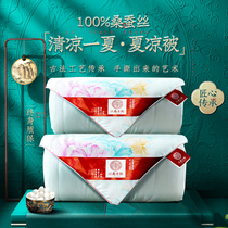  Jiangnan ancient rhyme silk quilt 100 mulberry silk spring and autumn and summer cool quilt mother quilt