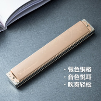 Imported spring 24-hole harmonica Adult professional playing hole sound polyphonic copper grid craft harmonica musical instruments