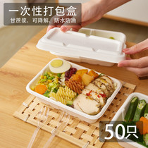 Disposable Commercial Packaging Box Pulp Meal Kit Salad Box Takeaway Degradable Lunch Box Sushi Lunchbox Lunch Box 50 sets