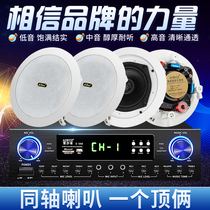AIBUZ YLD-88 Constant Resistance Ceiling Small Horn Background Music Amplifier Coaxial Ceiling Speaker Set