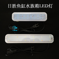 Zisheng RS-300 380A 480A 580A 580A AQUARIUM AQUARIUM SPECIAL LED LIGHT FISH TANK WATERPROOF LAMP COLOR LIGHT LAMP