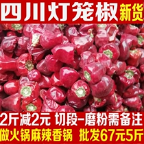 New lantern pepper 500g Sichuan specialty dried chili pepper Lantern pepper segment Paprika hot pot Mala pot