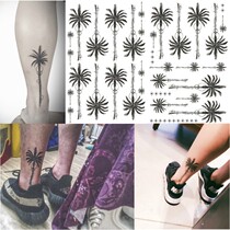 Couple calf coconut tattoo Chen Guixi coconut tree tattoo with star ankle black and white plant tattoo