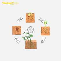 Wantmoin simulation plant growth cycle life cycle model bean sprout germ cognitive toy 3-10 years old
