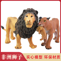 Simulation safari African lion model male lion solid lioness children Science Education toy little boy gift