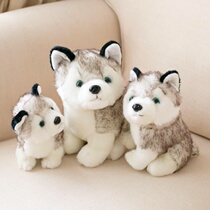 Simulation Husky doll plush toy dog two ha puppy doll Childrens Day birthday gift to send female