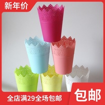 Creative Multi Meat Flower Pot Plastic Basin Indoor Balcony Potted Plant Ground Planting Minima Candy Color Flower Pot Personality