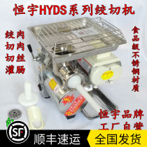 Hengyu HYDS desktop multi-function meat grinder commercial high-power electric meat shop with meat paste cutting and enema machine