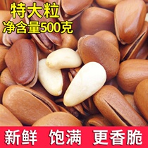 Original pine seeds open pine nuts in bulk a pound of super large particles 500g Extra large original Northeast premium new goods