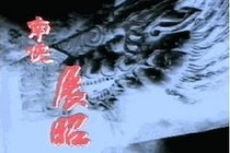 Support DVD Nanxia Zhao Zhao Wu Weiguo Deng Cuiwen 20 Episodes 3 discs