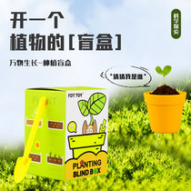 New Years Eve Ideas birthday gifts for girls and girls friends girlfriends to blame practical graduation ceremony Sensory Plant Blind Box