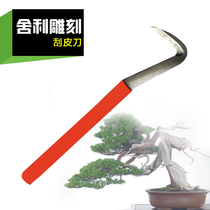 Silk Carving Scraping Leather Knife Bonsai Special Styling Sherley Making Pruners Pruner Cut and Garden Gardening with Scissors Garden Gardening