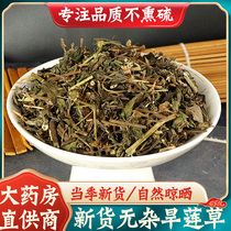 Dry Lotus Herbal Herbal Medicine 500 gr Ink Dry Lotus Herbal Medicine Ink Dry Lotus Grass for another Glossy Privet Dry Lotus Grass Combination