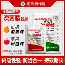 Torqucan Tring bromobacterium nitrile pepper apple grape anthrax powder Emulsion Pesticide fungicide 15g