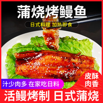 Japanese paw eel fish 300g sushi dishes ready-to-eat grilled eel meat Net red eel rice heated seafood dishes