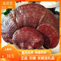 Long white Mountain wild Lucid Lucid 500 gr bubble water tea Non-homoeroy church Chopped Lingzhi Tablets Whole Branches Red Lingzhi Purple