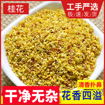 Osmanthus flower 100g sweet-scented osmanthus dried flower fresh golden cinnamon tea no-sulfur baking dried osmanthus tea bag halitosis Oolong Tea