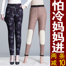 Mother dong kuan plus velvet thickening outer wear camel trousers elastic waist mother-in-law force of the middle-aged and elderly people warm nv ku zi