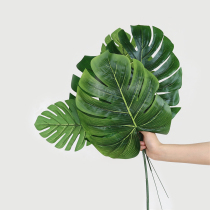 ins Net red turtle back leaf fake leaf green simulation leaf creative home decoration table flower arrangement green plant ornaments