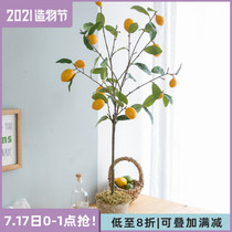 A Ying simulation green plant potted indoor fake lemon tree ins Living room floor decoration Nordic fake flower plants