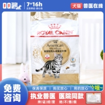 Royal cat food ASA31 ideal form nutrition for American short hair 10kg full price food for American short haired adult cats