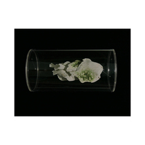 Zhuzhong Art Tsinghua University Young Artists Contemporary Ceramic Art Original Heterogeneous Series No.10