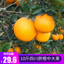 Sichuan fresh oranges 10 kg farm alpine seasonal fruit sweet jelly navel orange seasonal whole box