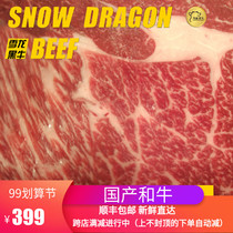 Snow Dragon Black Bull Upper Brain 500g Valley Feeding Original Cut Childrens Beef Home Non-Marinated Steak 2A Package Group Buy